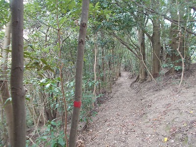 f0308898_20182006.jpg