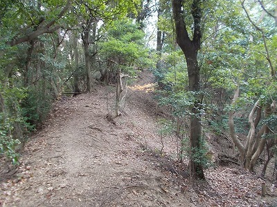 f0308898_20184585.jpg