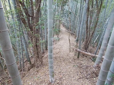 f0308898_20204622.jpg