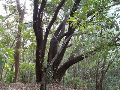 f0308898_20234555.jpg