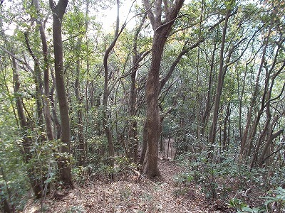 f0308898_20245612.jpg