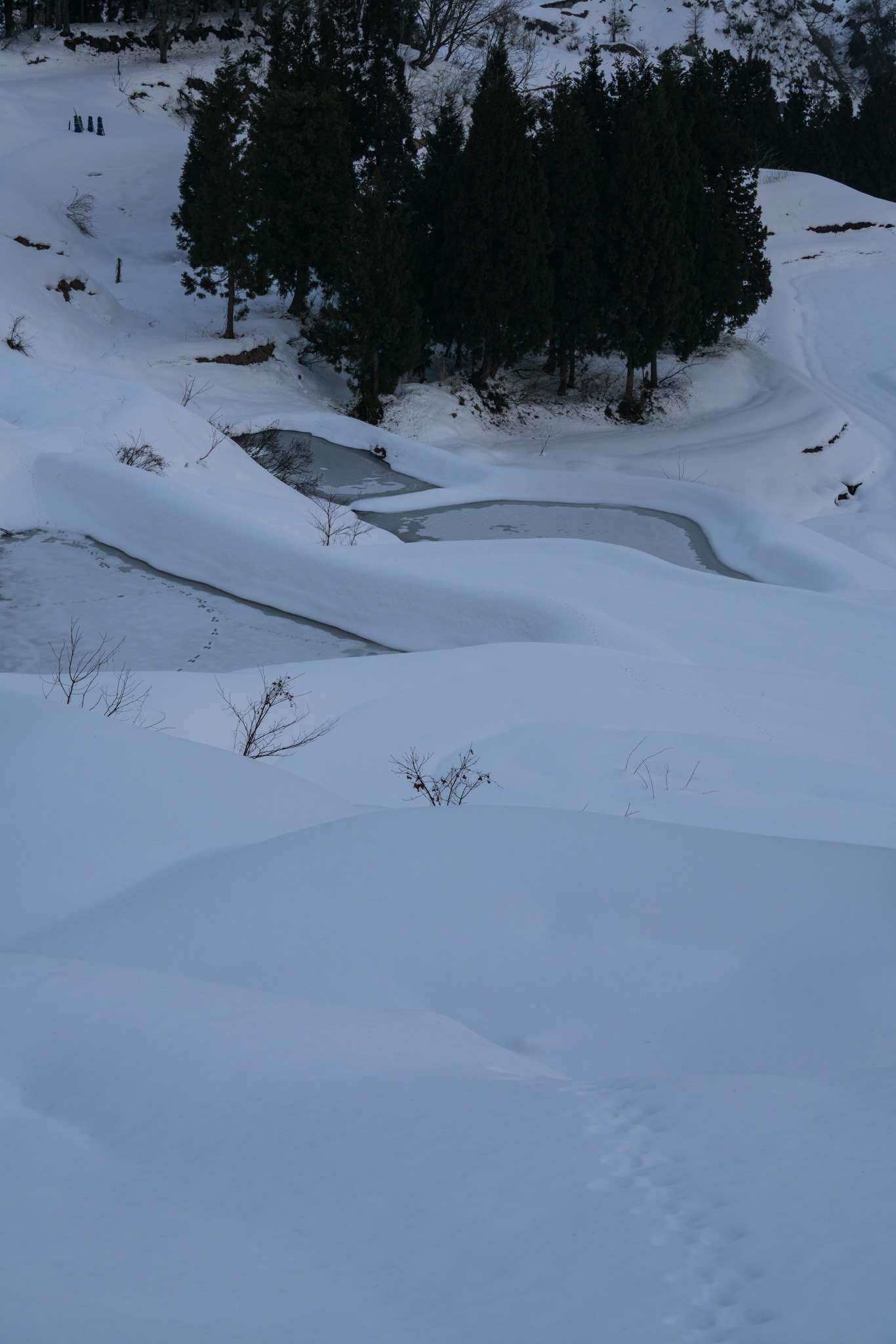 d0240200_19471435.jpg
