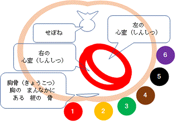 一般健康診断 47 労働安全衛生法 看護師が やさしい日本語 を学ぶブログ 一般健康診断 47 労働安全衛生法 看護師が やさしい日本語 を学ぶブログ