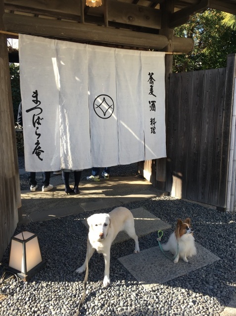 f0034602_09162037.jpeg