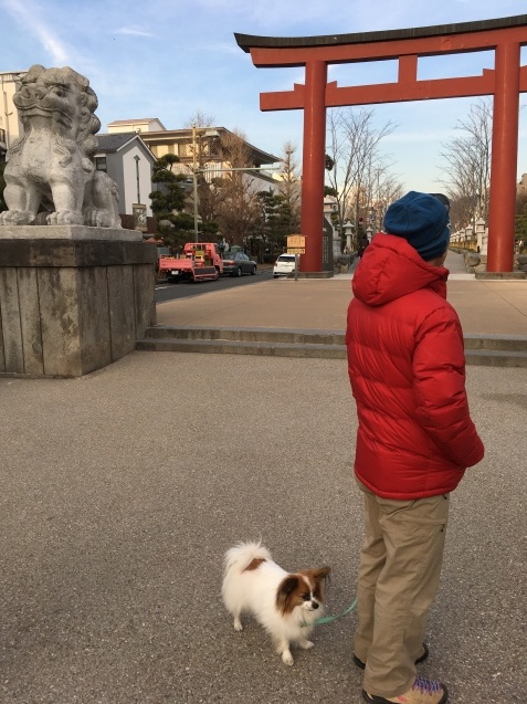 f0034602_09243099.jpeg