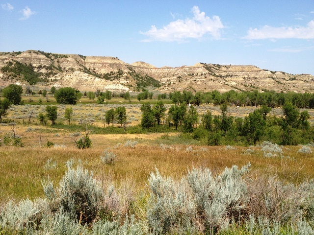 c0062603_13580163.jpg