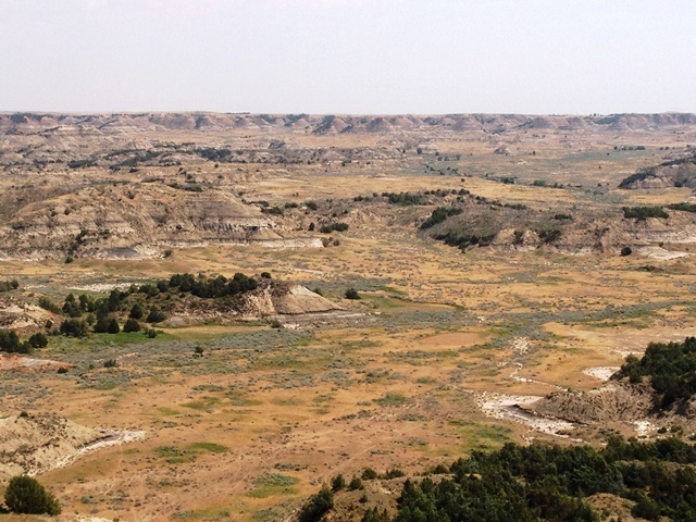 c0062603_14003590.jpg