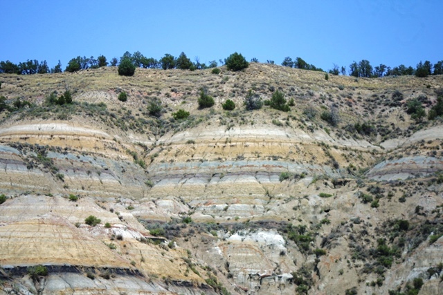 c0062603_14005424.jpg