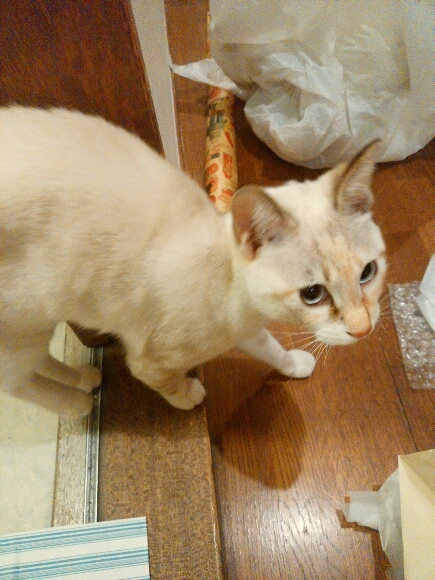 お片づけ_f0255704_00253776.jpg