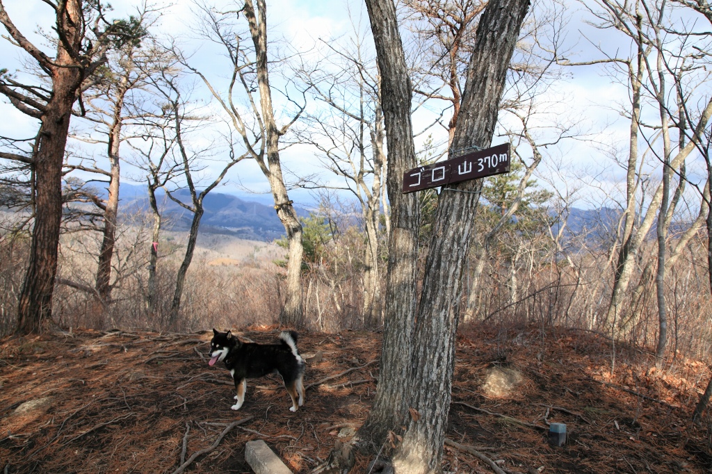 2017.12.24 白沢？山_b0050305_1271650.jpg