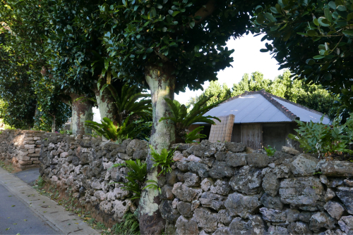 d0147406_15103061.jpg