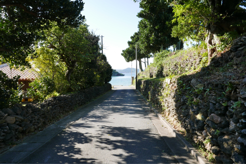 d0147406_15324564.jpg