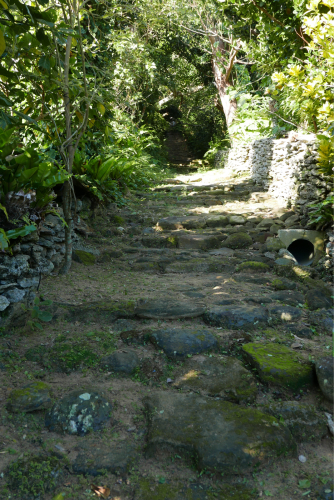 d0147406_15341339.jpg