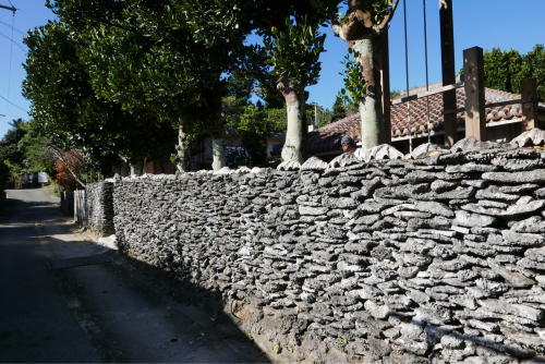 d0147406_15341817.jpg
