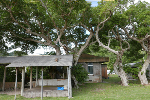 d0147406_15384048.jpg