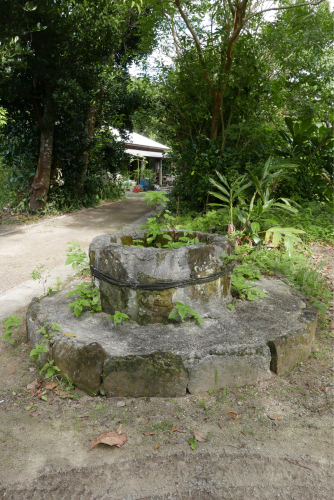 d0147406_15393035.jpg