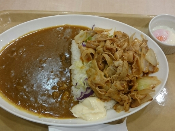 12/24  カレーショップC&C京王高幡SC店  豚バラ生姜焼カレー肉増し大盛ソース大盛トッピング温玉_b0042308_20584639.jpg