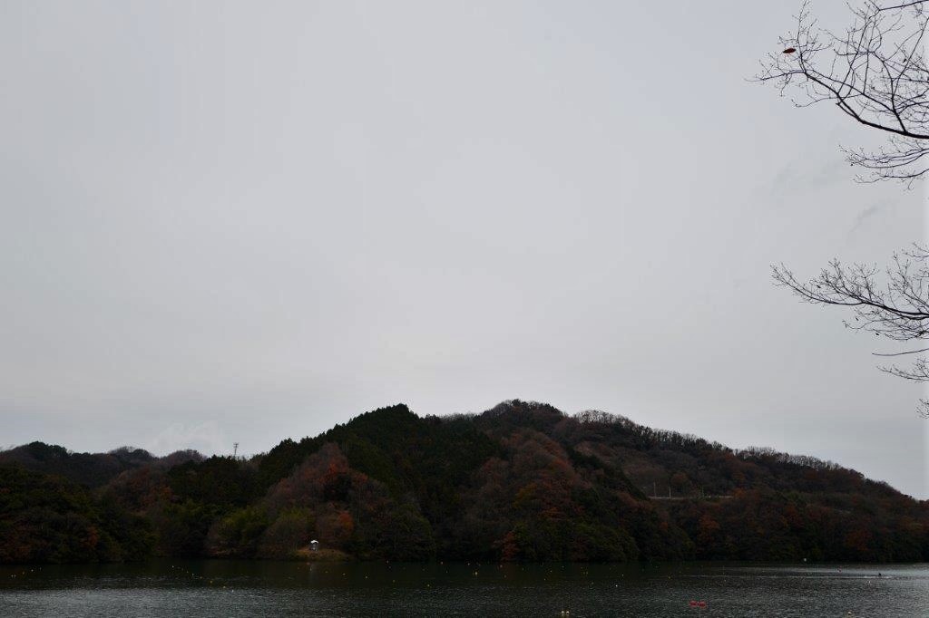 f0365212_14503323.jpg