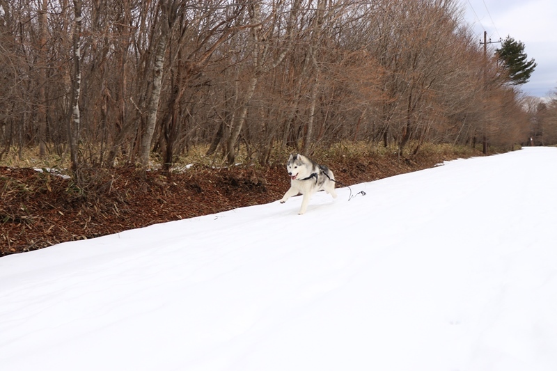 八方ヶ原で登山トレーニング_b0207615_21020750.jpg