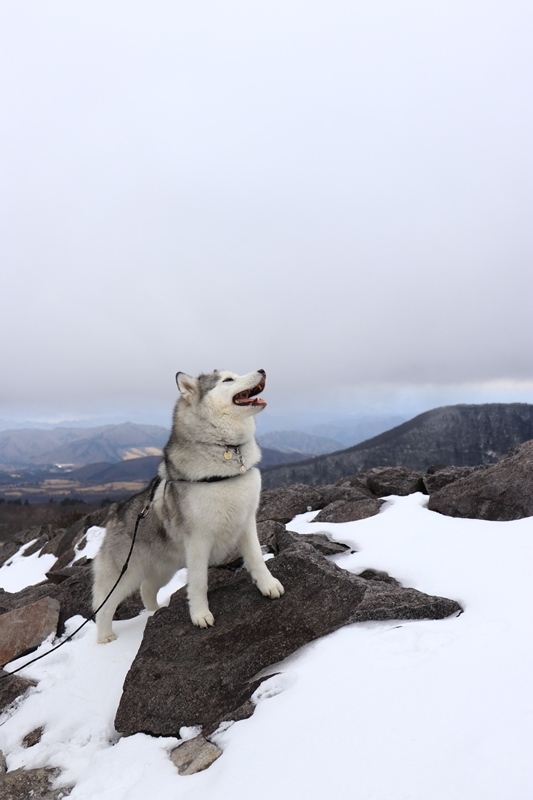 八方ヶ原で登山トレーニング_b0207615_21024204.jpg