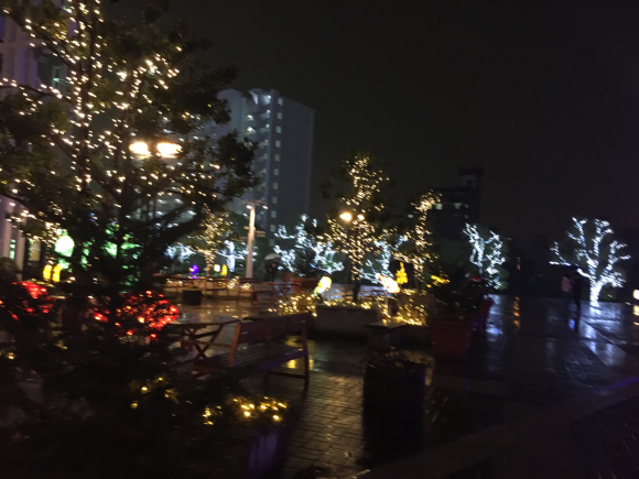 a0098418_23344323.jpg