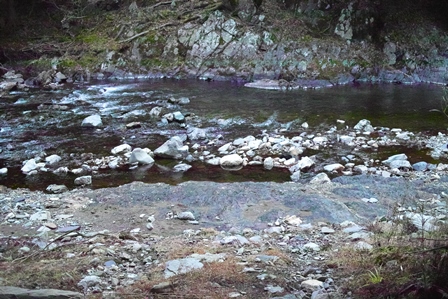 ☁で凍てた朝に・・・・朽木小川・気象台より_c0044819_7374935.jpg