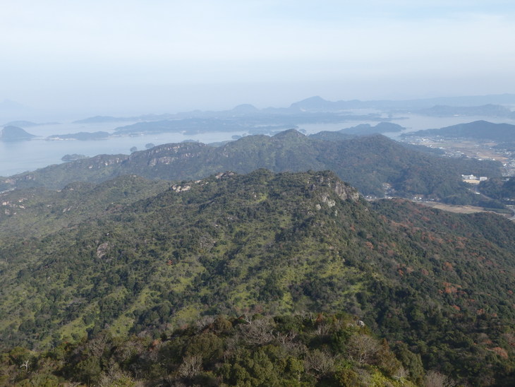 f0193521_20404656.jpg