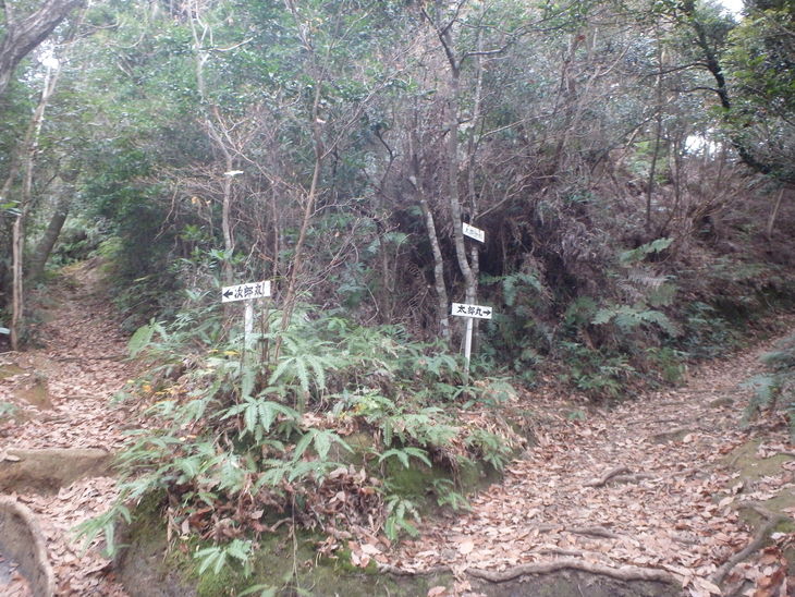 f0193521_2095657.jpg