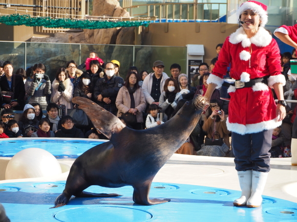 クリスマスのサンシャイン水族館♪_a0337624_20152264.jpg