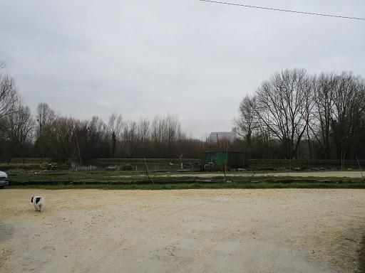 b0381325_02104109.jpg