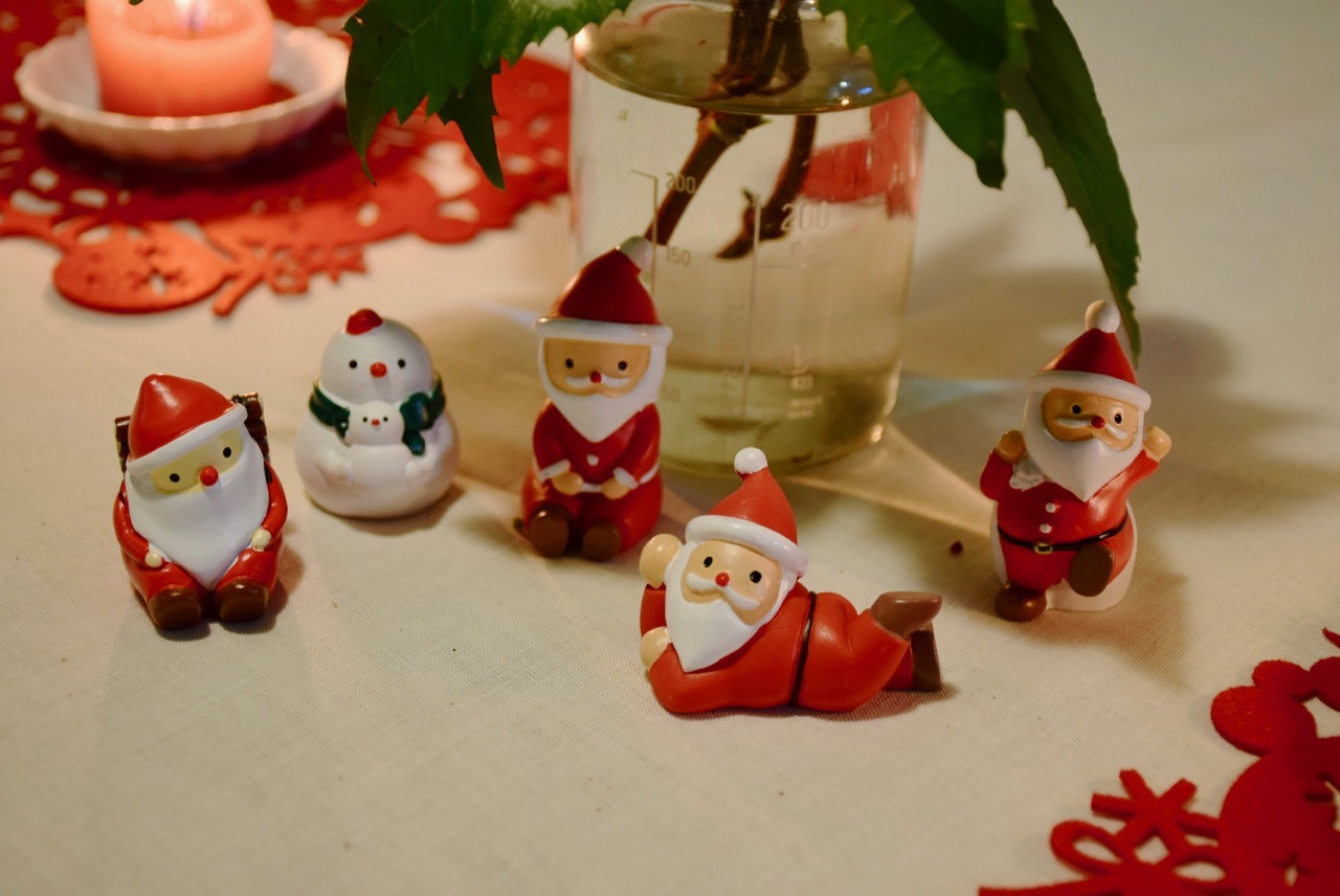 メリークリスマス!_a0284626_11004756.jpg