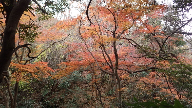 c0263829_17381133.jpg