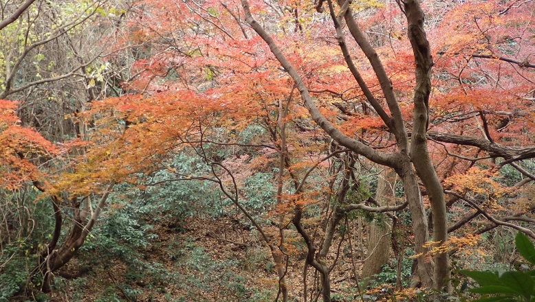 c0263829_17381928.jpg