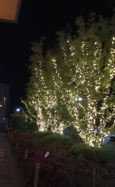 c0103830_14194755.jpeg
