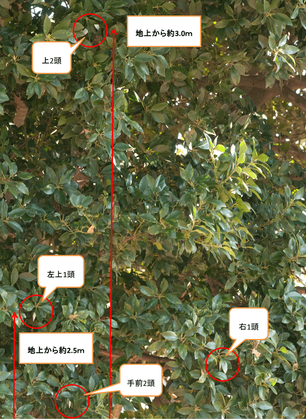 a0126632_12545604.gif