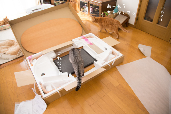 こたつは完成したのか_d0355333_14050217.jpg