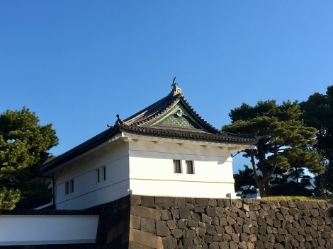 イヌが人を見るときイヌは人になる_b0213435_23442055.jpg