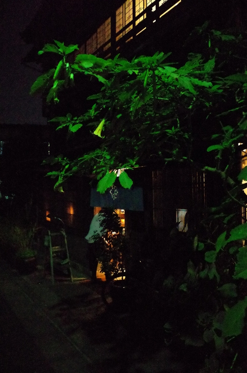 a0287336_2146405.jpg