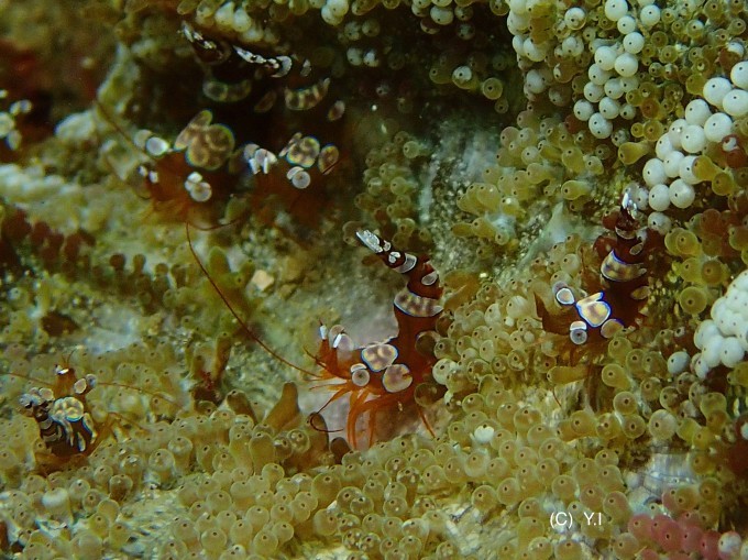 b0163039_15211057.jpg