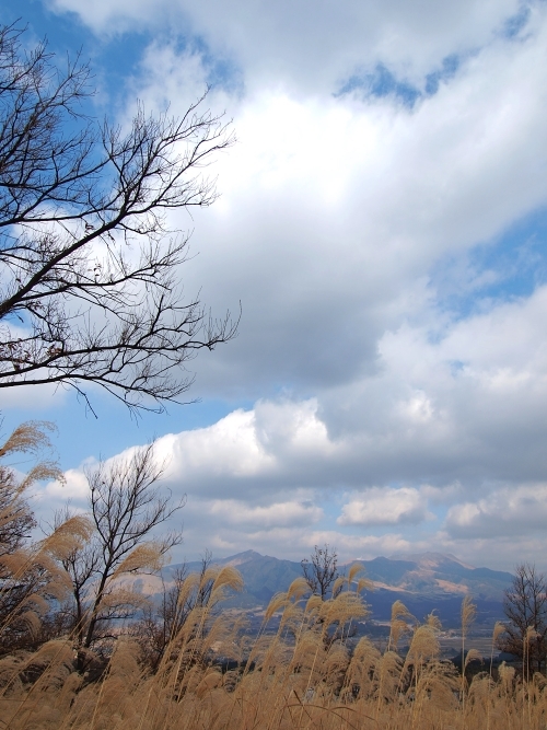 c0281841_00093784.jpg