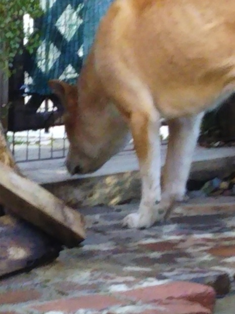 f0250542_20194085.jpg