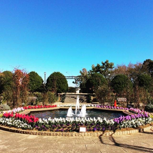 b0125443_11485804.jpeg