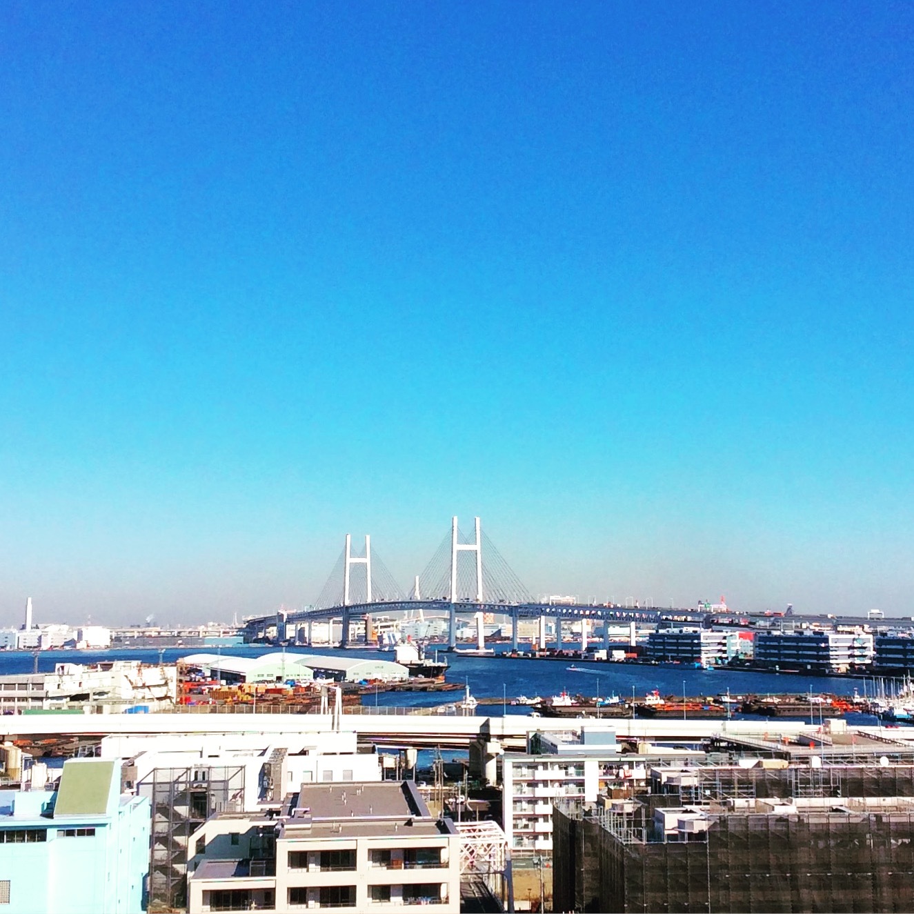 b0125443_11491565.jpeg