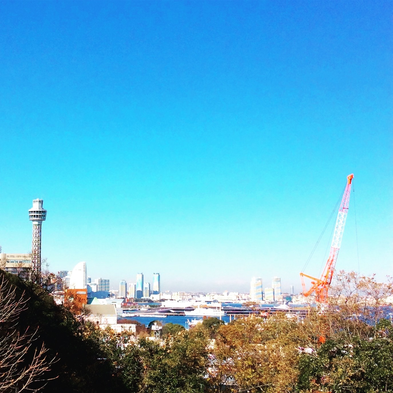 b0125443_11495242.jpeg