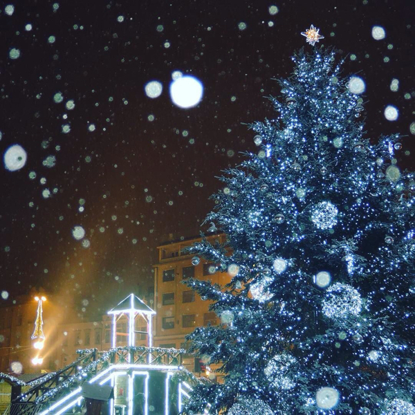 チェコのクリスマスマーケットの写真_c0060143_11214417.jpg