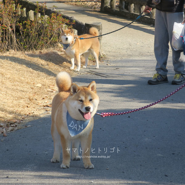 幸せは自分の中に在る。_a0286855_06263124.jpg