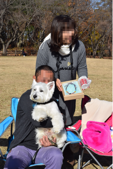 b0242873_10432195.png