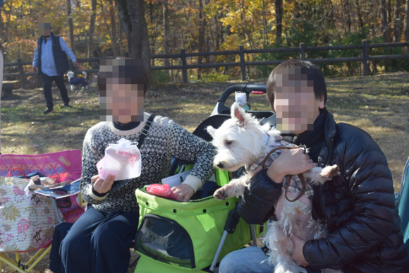b0242873_10534923.png