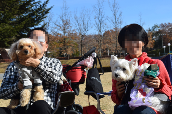 b0242873_10574590.png
