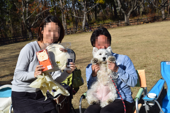b0242873_10581804.png